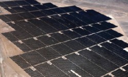 Shams Ma’an 50 MW Solar PV Plant