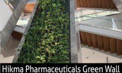 Hikma Pharmaceuticals Green Wall
